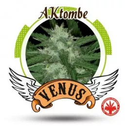 Aktombe
