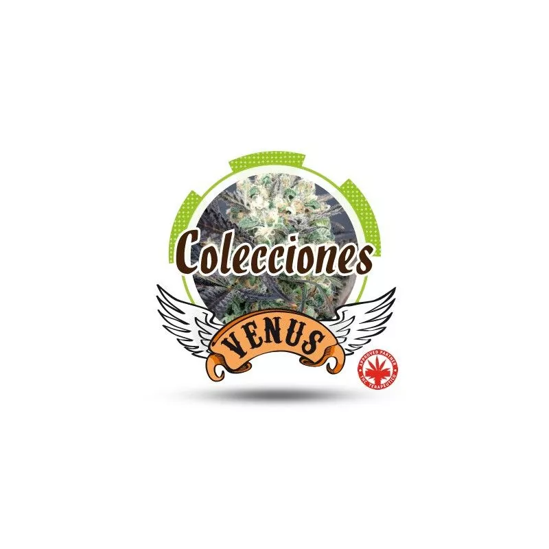 Colección 1
