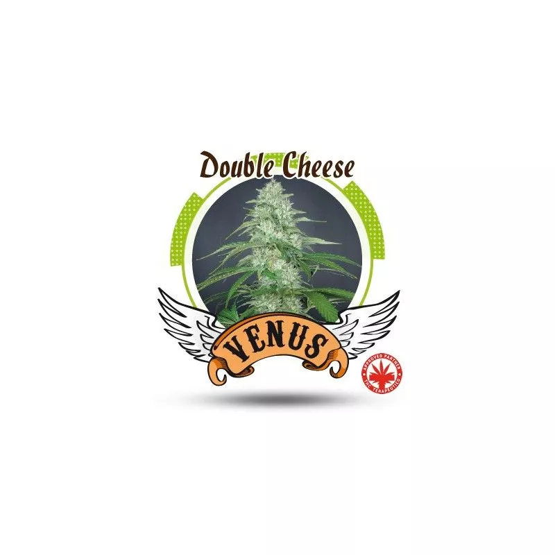 Double Cheese Venus Genetics