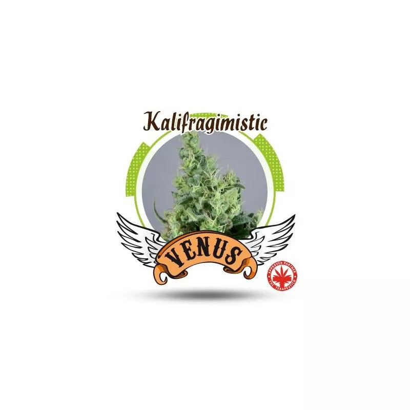 Kalifragimistic