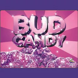 Bud-Candy-advanced-nutrients Bud-Candy-advanced-nutrients