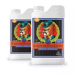Connoisseur-Bloom-AyB