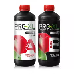 Bloom A&B 1L PRO-XL
