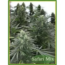 Safari Mix