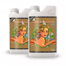SensiBloom Coco A&B