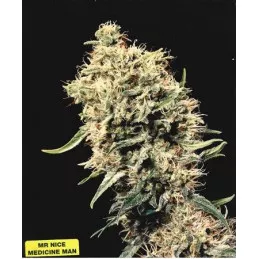 Medicine Man