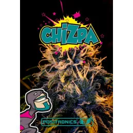 Chizpa