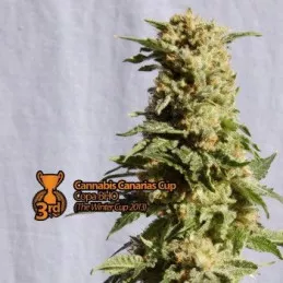 La Blanca