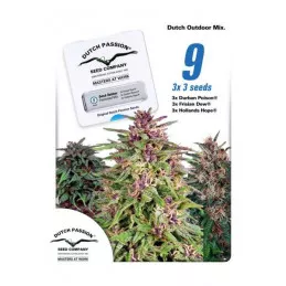 Dutch Outdoor Mix