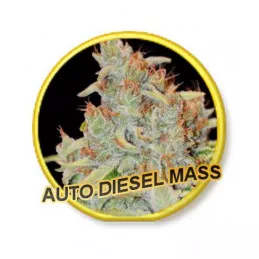 Auto Diesel Mass