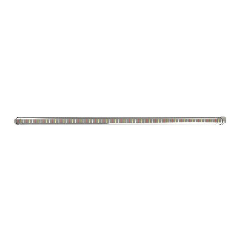 TLed 42W Blooming TLed 42W Blooming