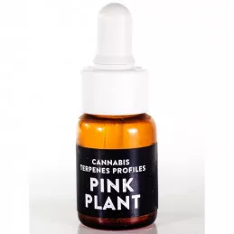 Pink Plant Cali Terpenes