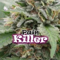 PainKiller Dr Underground