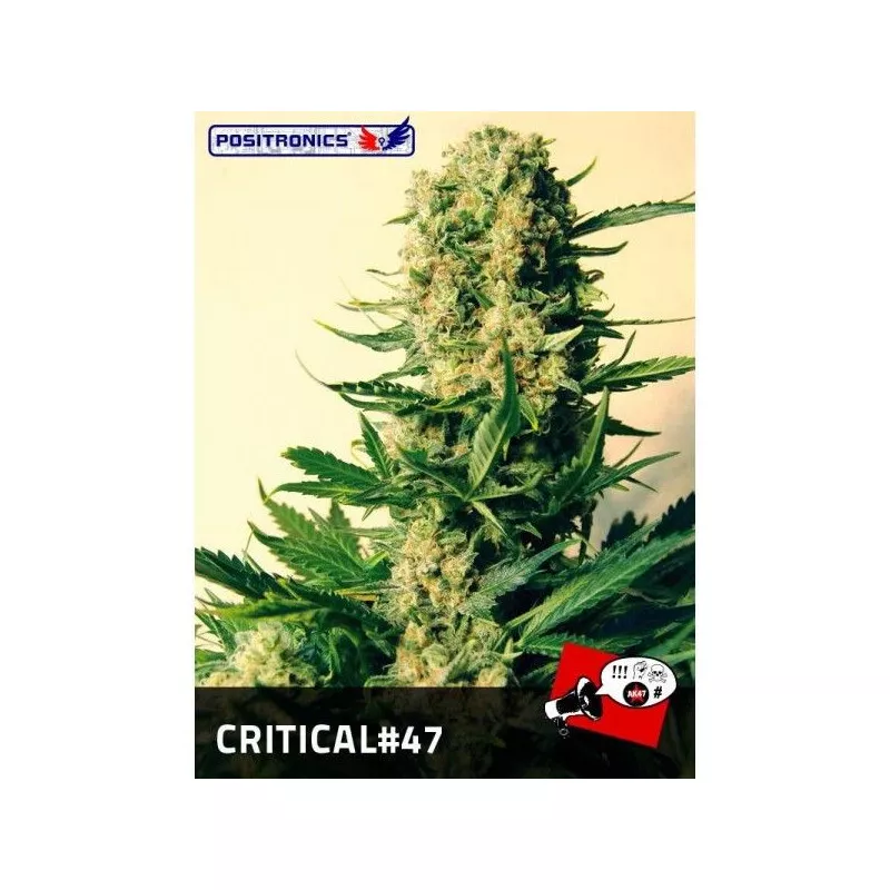 Critical 47