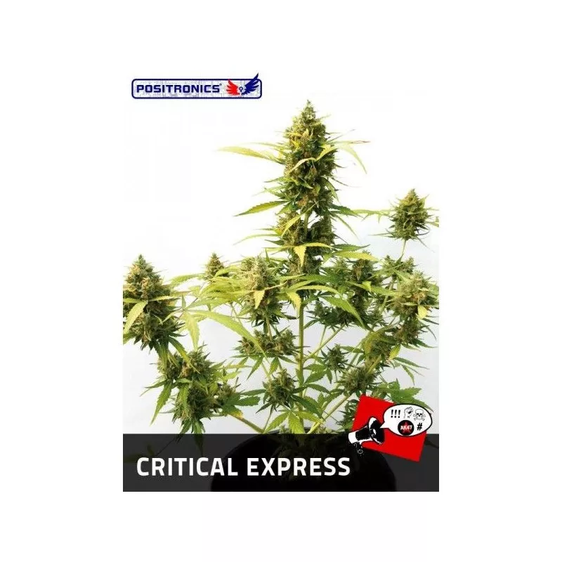 Critical Express