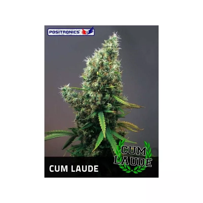 Cum Laude