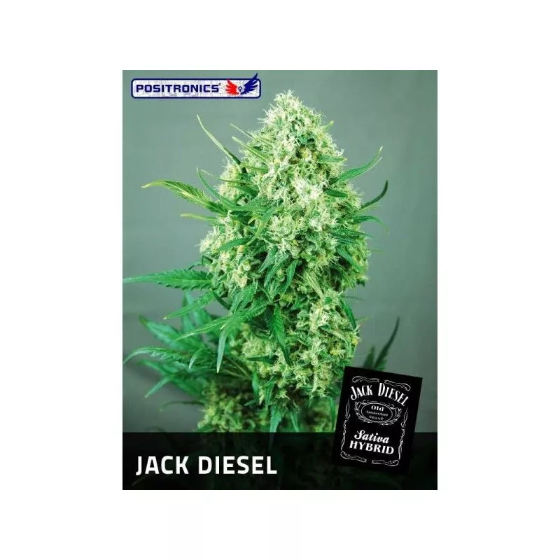 Jack Diesel