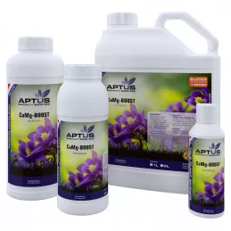 CaMg-Boost Aptus