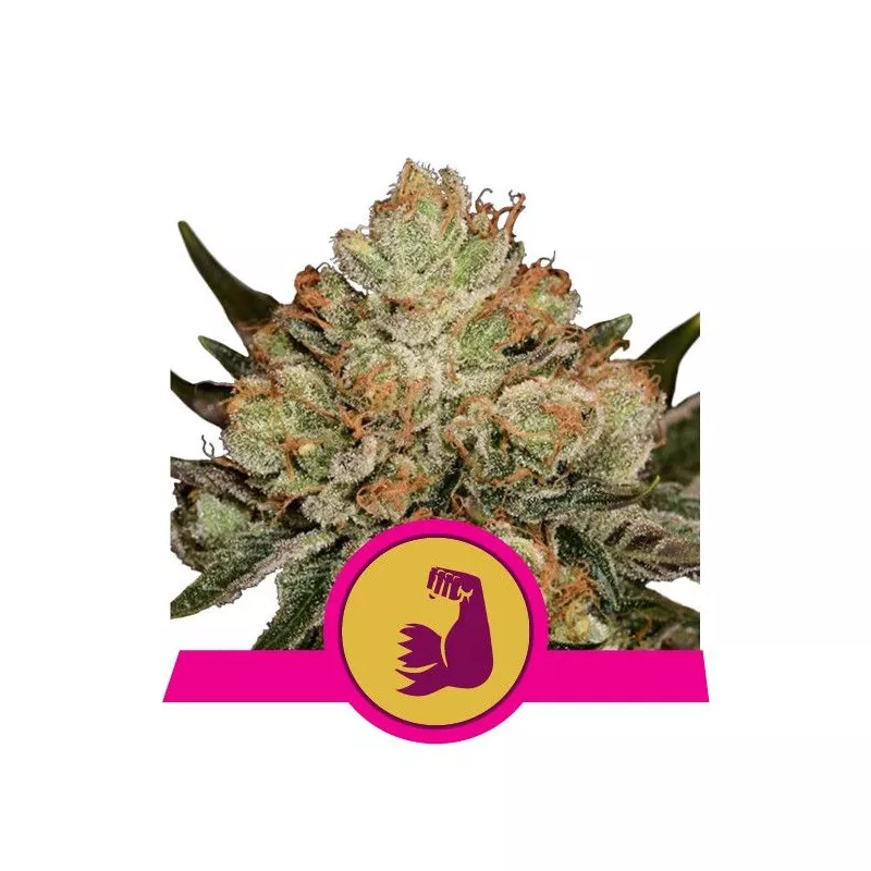 Hulkberry