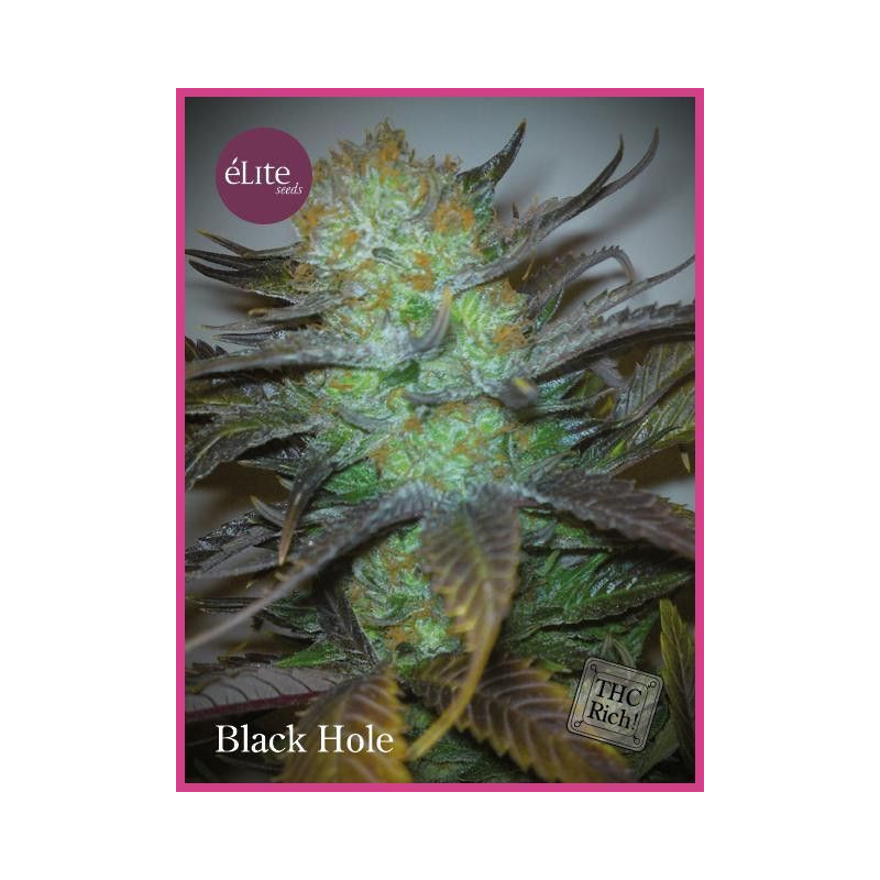 Black Hole Elite Seeds Black Hole Elite Seeds
