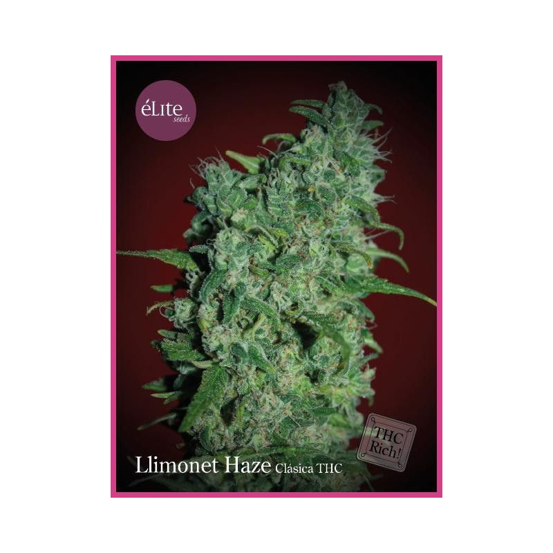 Llimonet Haze Elite Seeds Llimonet Haze Elite Seeds