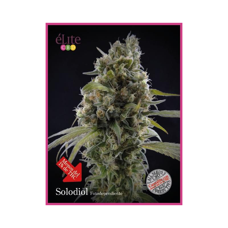 Solodiol CBD Elite Seeds Solodiol CBD Elite Seeds