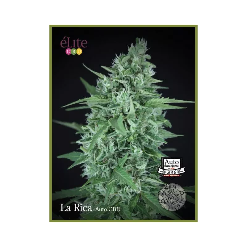 La Rica Auto CBD