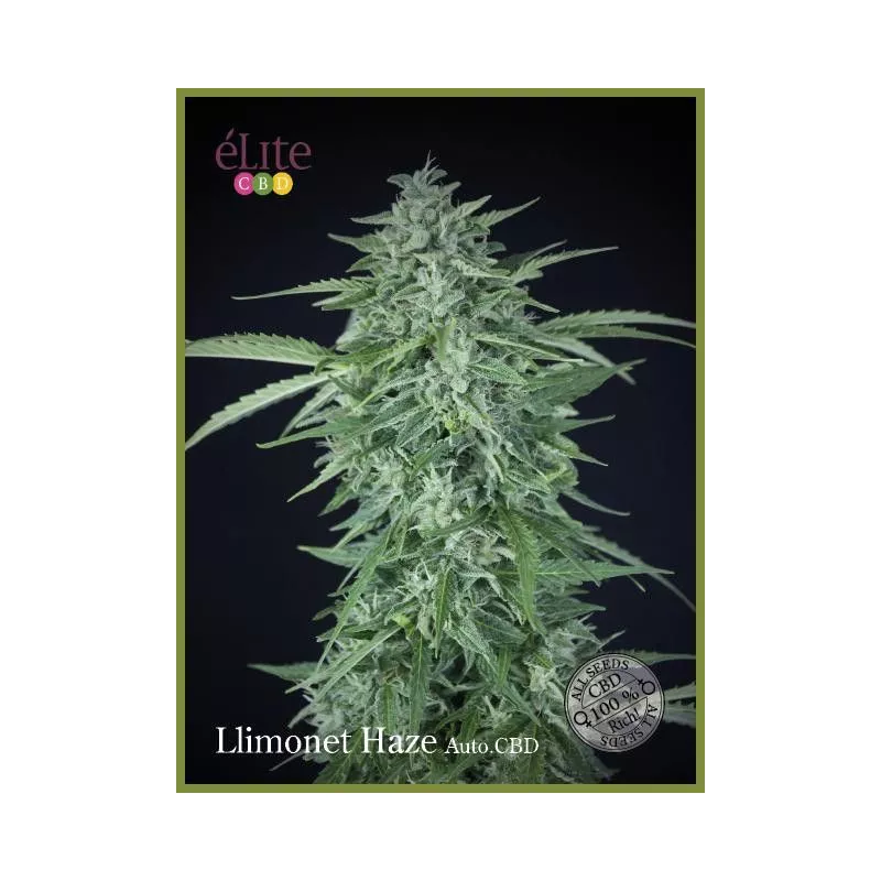 Llimonet Haze Auto CBD