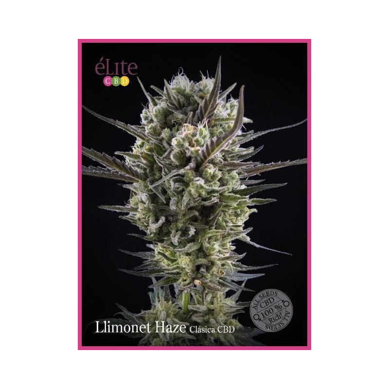Llimonet Haze Clásica CBD Elite Seeds Llimonet Haze Clásica CBD Elite Seeds