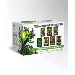 Kick-Starter Kit 3 Partes Base