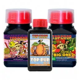 Bud Pack Top Crop