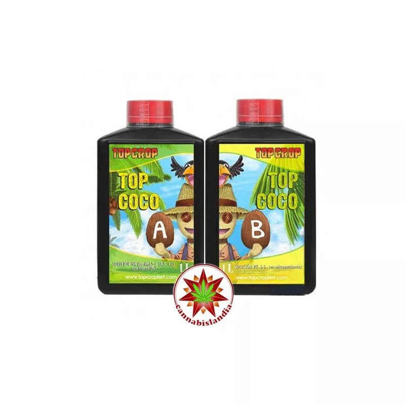Top Coco A+B