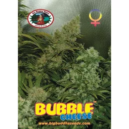 Bluble Cheese