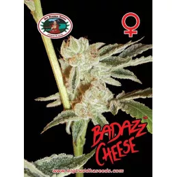 Badazz Cheese
