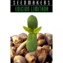 Sour Diesel x Sweet Tooth