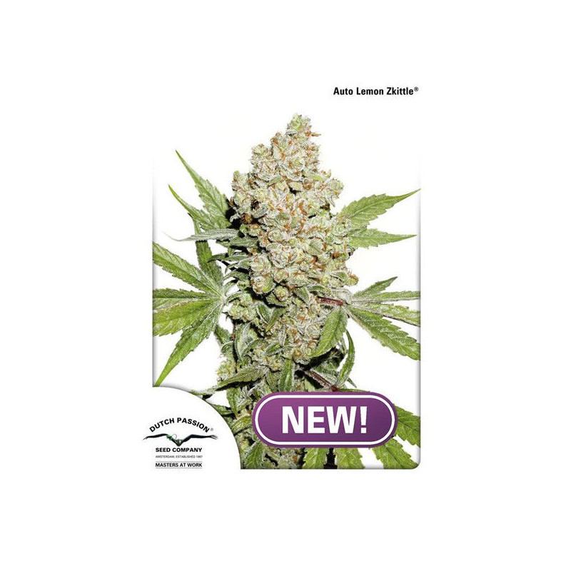 Auto Lemon Zkittle Auto Lemon Zkittle
