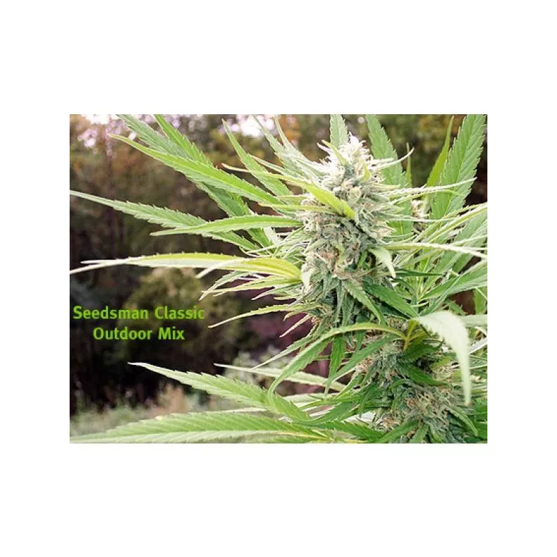 Outdoor Mix Seedsman