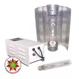 Kit Hortilight 600W