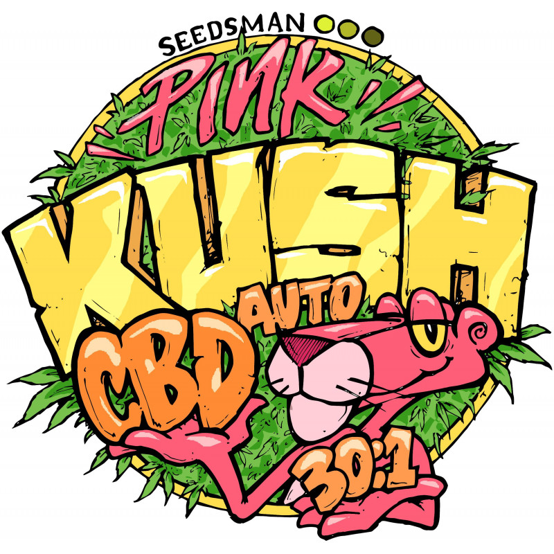 Pink Kush CBD Auto Pink Kush CBD Auto