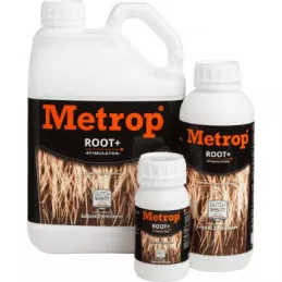 Amino Root