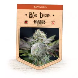 Blue Dream Garden of Green
