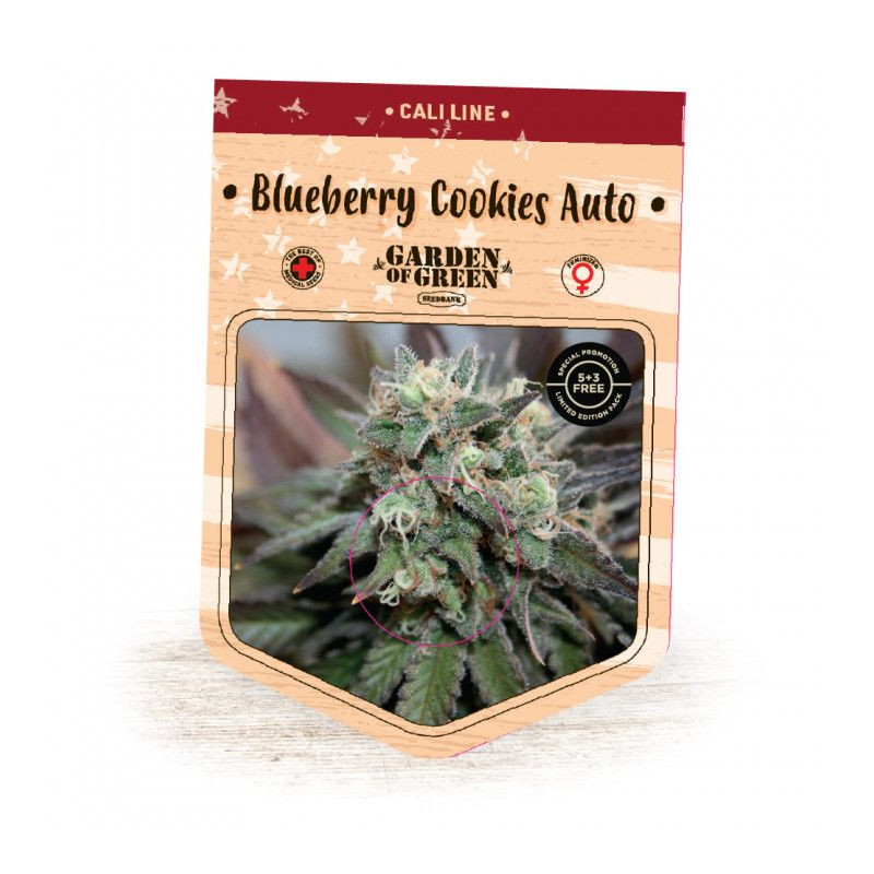 Blueberry Cookies Auto Garden of Green Blueberry Cookies Auto Garden of Green