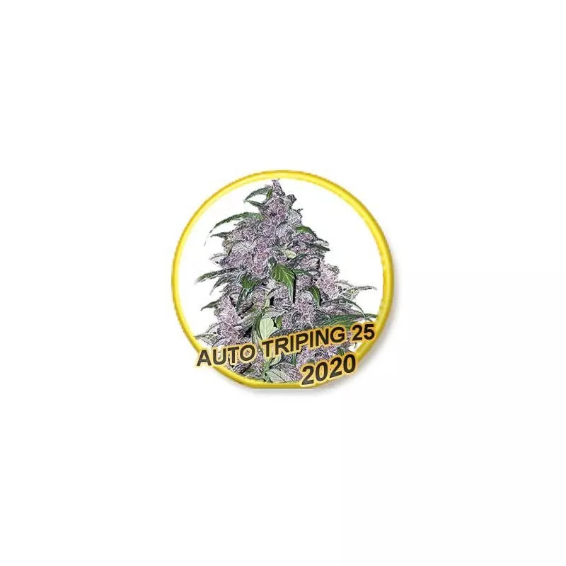 Auto Triping 25