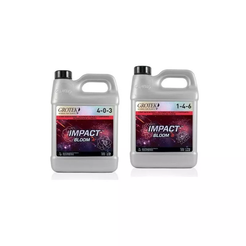 Impact Bloom A+B