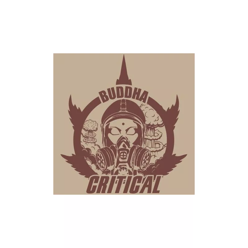 Buddha Critical