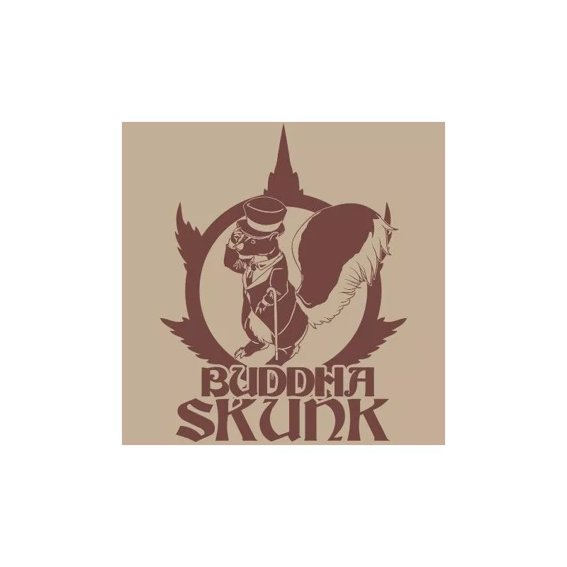 Buddha Skunk