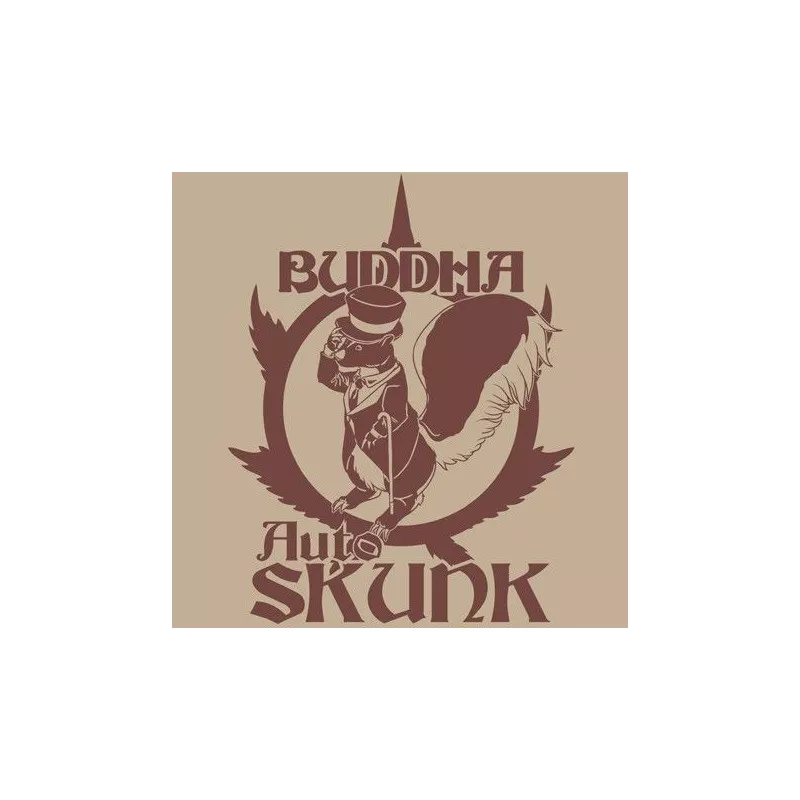 Buddha Auto Skunk