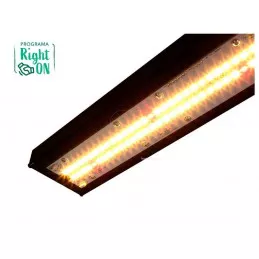 Solux Kappa 150W QB