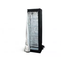 Dark Box Propagator