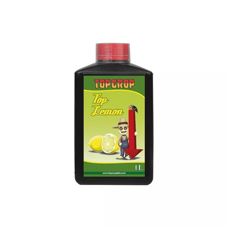 Top Lemon